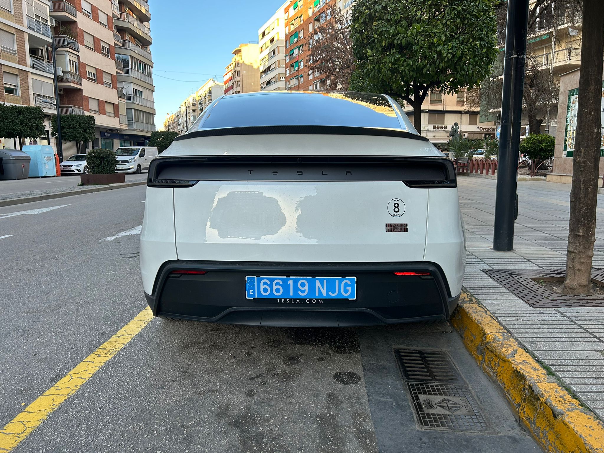 WhatsApp Image 2026-01-23 at 17.26.31